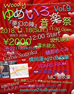 2018.11 Vol.９ 『夢幻の陣』
